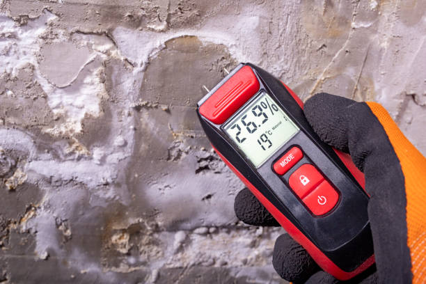 Best Mold Removal Near Me  in Madison, WV